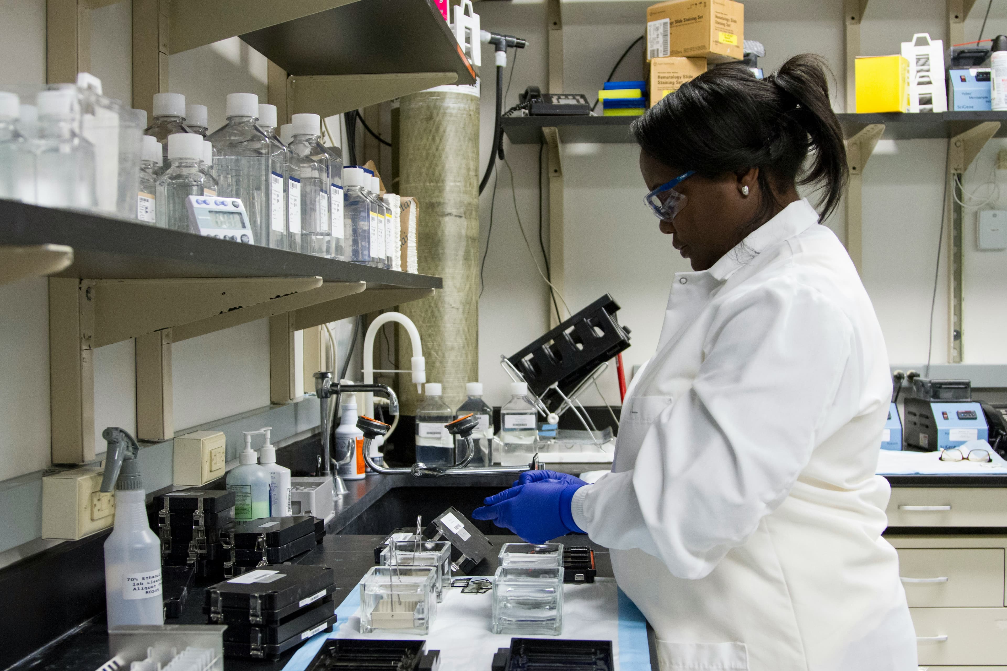 Laboratory Support & Services